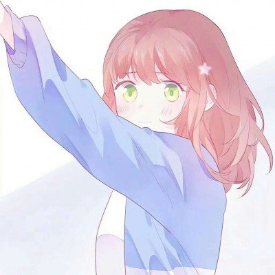 陈丽华女士遗嘱分配方案